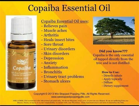 yl copaiba|copaiba tree oil.